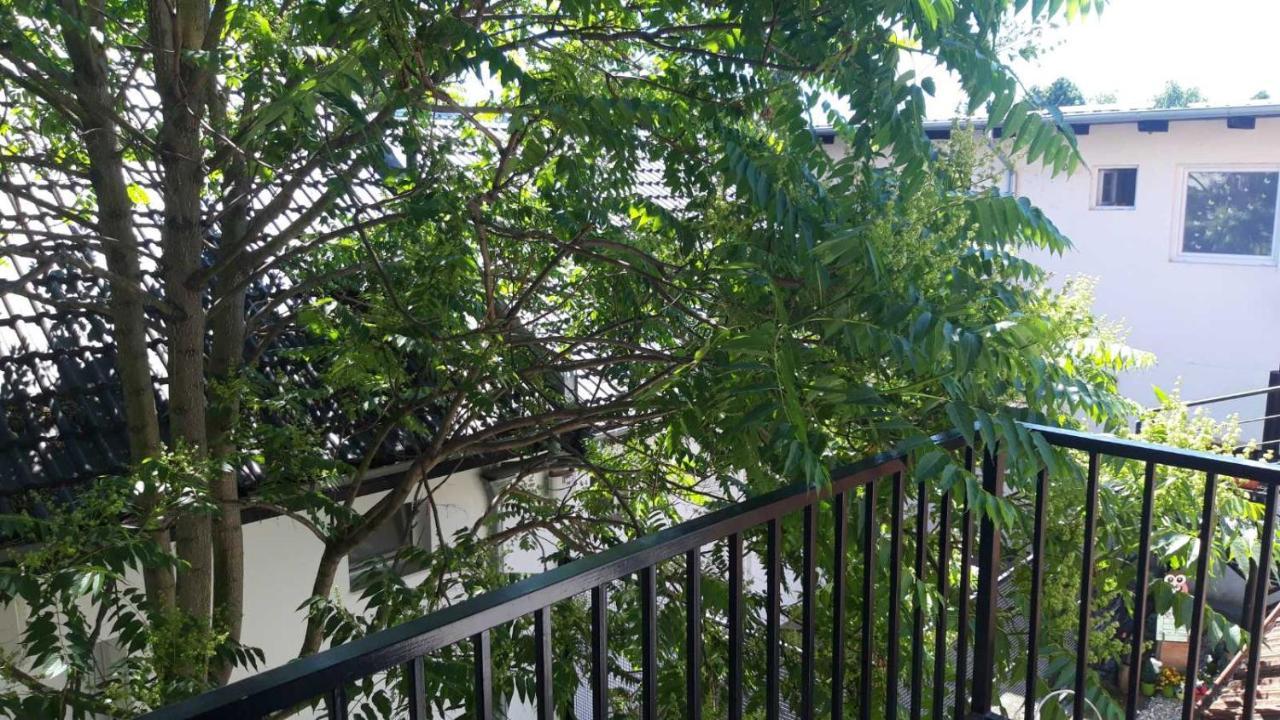 Apartment Eurho Осиек Экстерьер фото